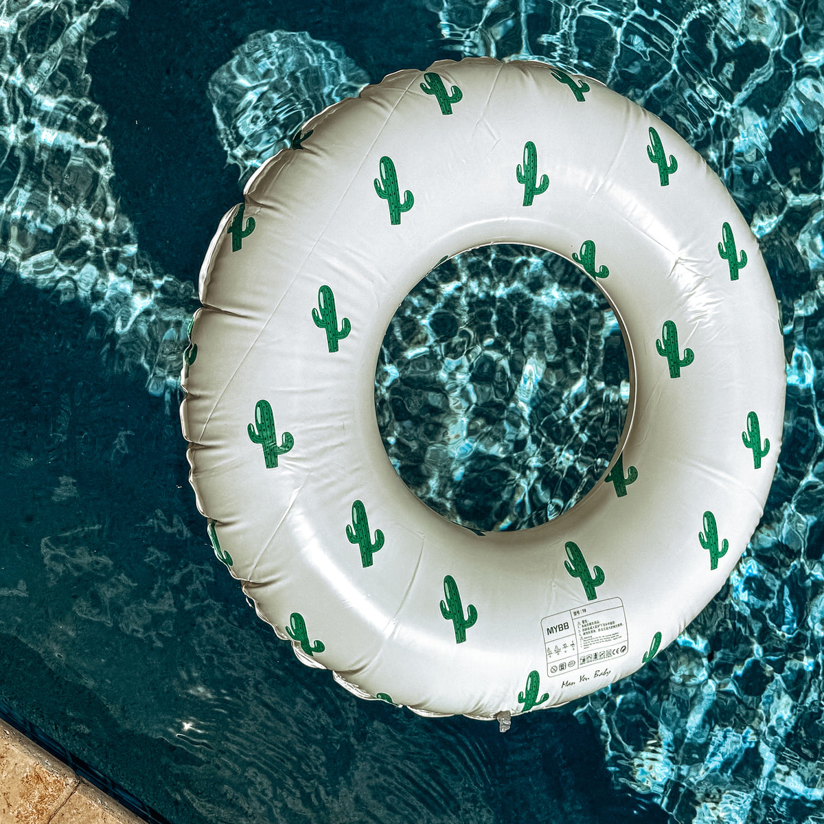 Cacti Floatie