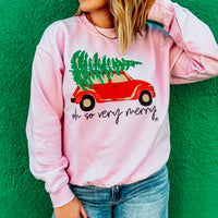 Oh So Very Merry Bug Sweatshirt