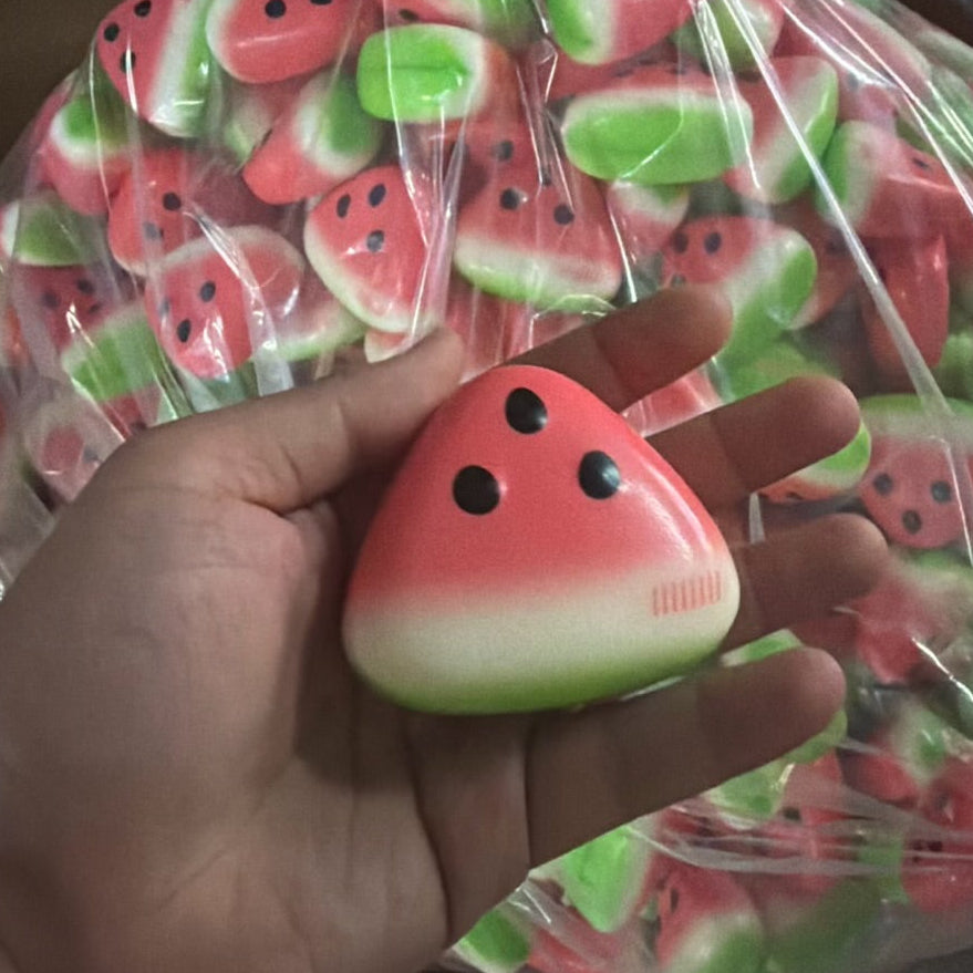 Squishy Watermelon Toy