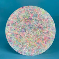 Picky Pad Toy