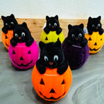 Flocked Cat in a Pumpkin
