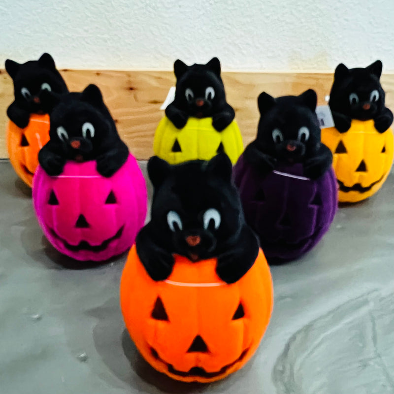 Flocked Cat in a Pumpkin